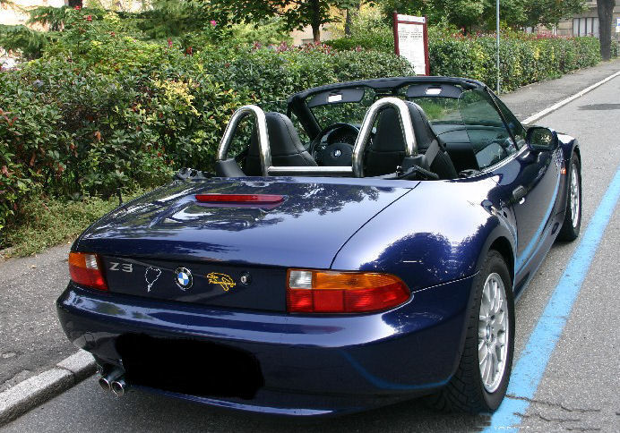 Bmw z3 roll over bars #6